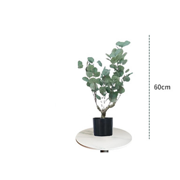 Verkoop 60cm Simulatie Eucalyptus met 3 bladeren voor binnen- en buitendecoratie