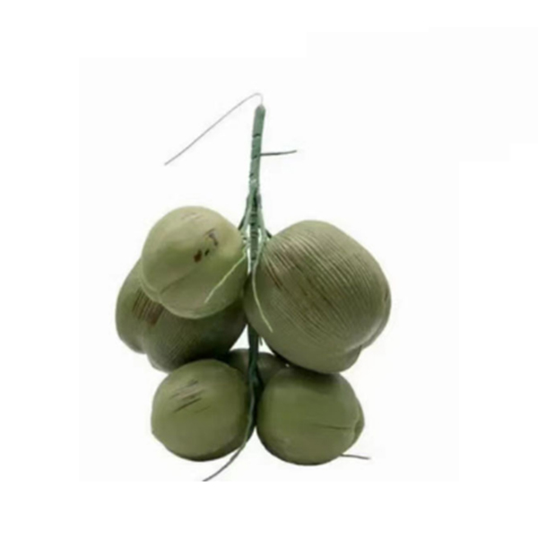 Factory Supply Seven Fruits Artificial Coconut Fruit