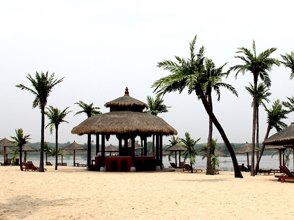 Vacation Resort Artificial Coconut Tree